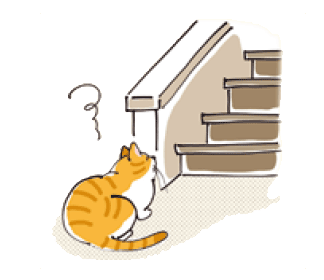 階段を登れない猫
