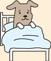 犬の入院イメージ