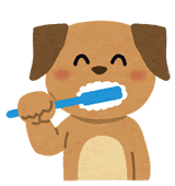 歯磨きする犬のイメージ